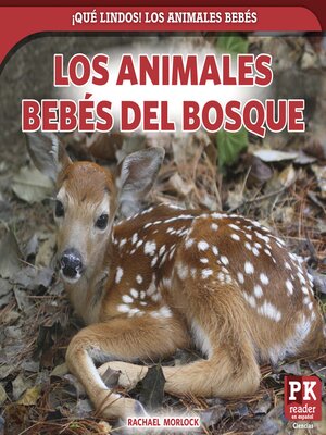 Los animales bebés del bosque - ebook